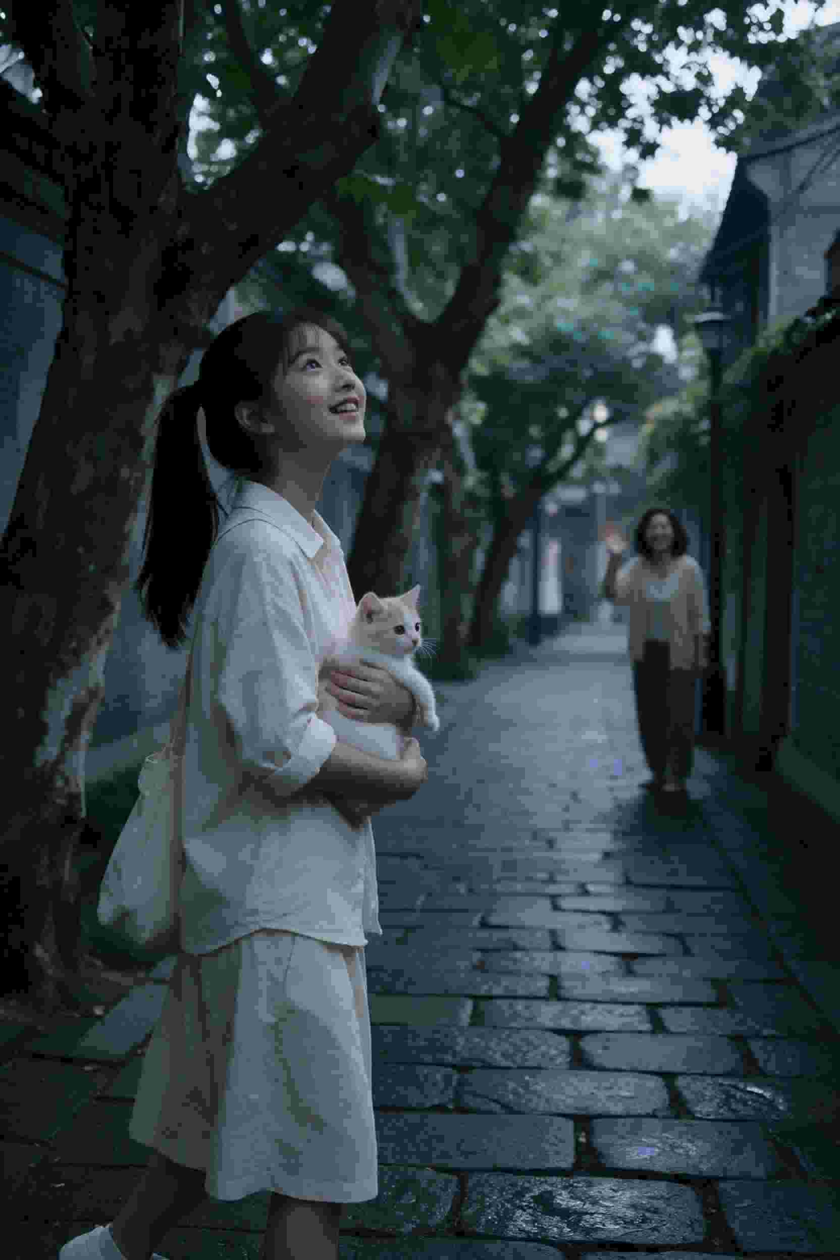 倾城佳人